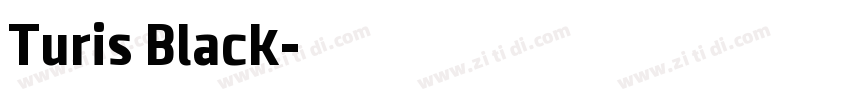 Turis Black字体转换